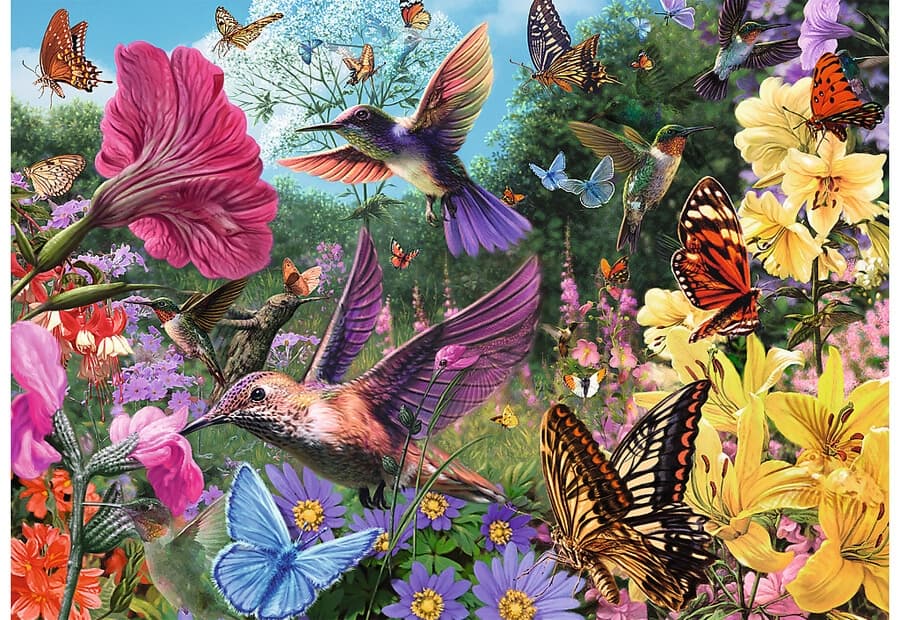Hummingbird Garden