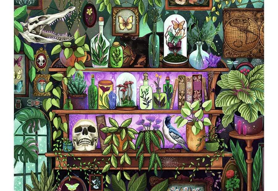 A Witch's Favourite Things