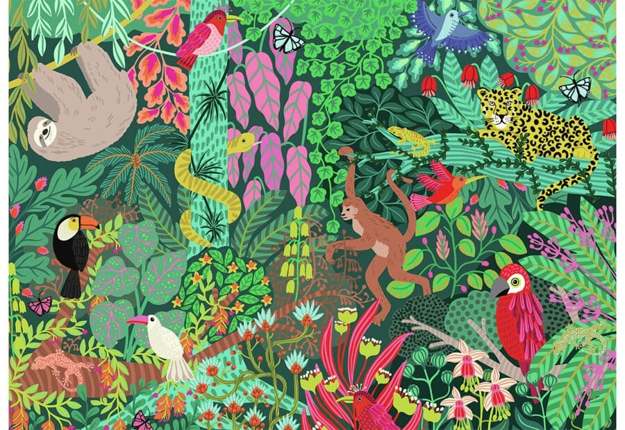 Magical Rain Forest