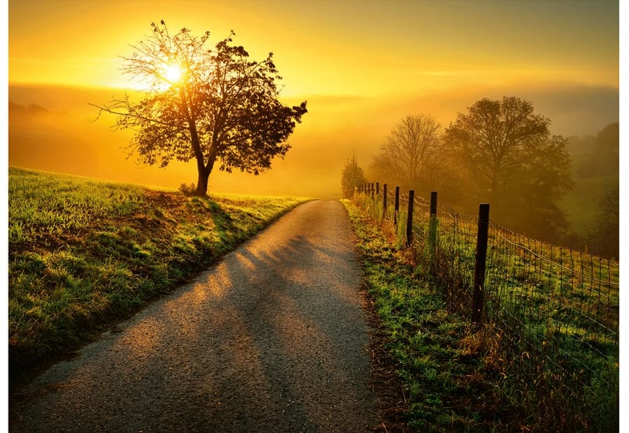 Landscape in the Morning Sun