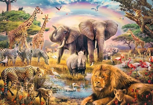 African Safari