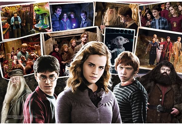 Harry Potter and Friends