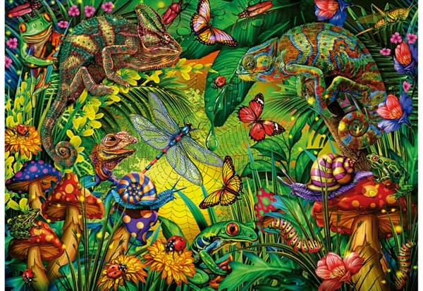 Colourful Forest
