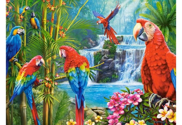 Parrot Meeting