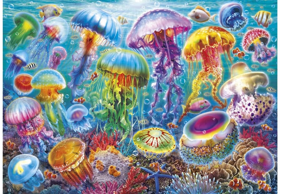 Jellyfish