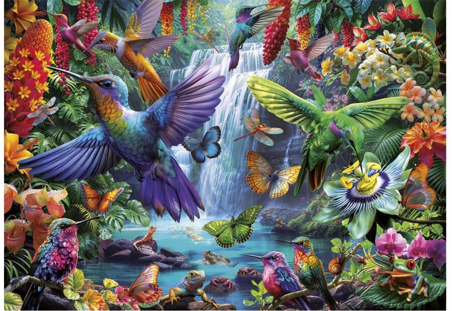 Tropical Hummingbirds