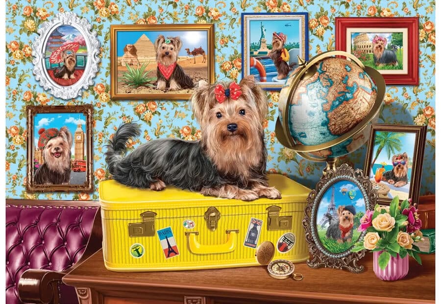 Yorkshire Terrier