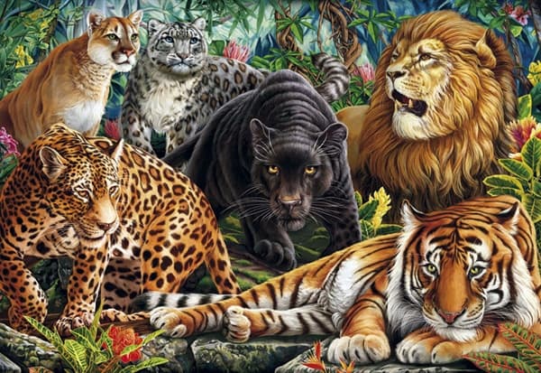 Wild Cats