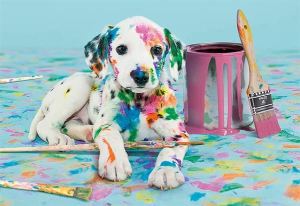 The Funny Dalmatian