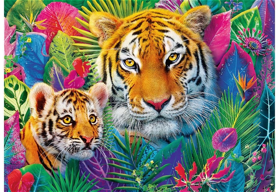 Tigers in the Jungle