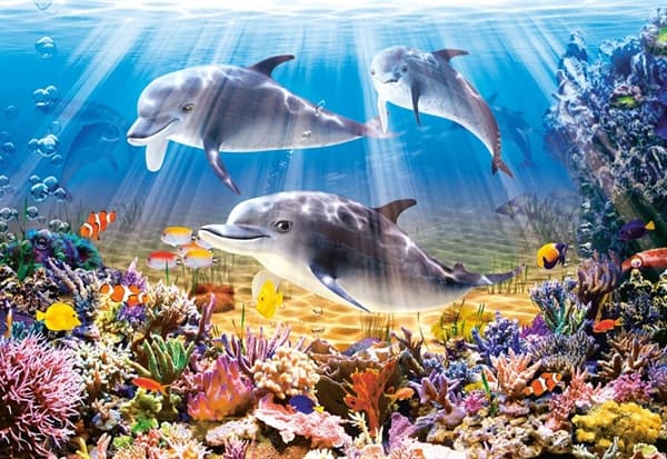Dolphins Underwater