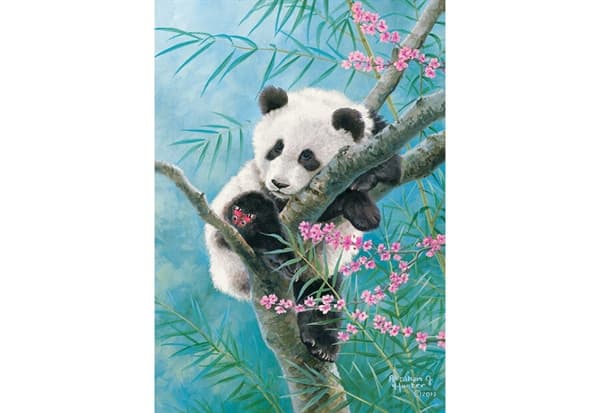 Bamboo Dreams