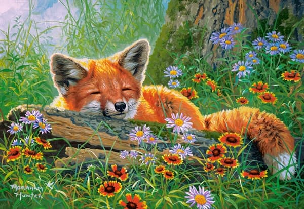 Foxy Dreams