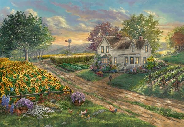 Sunflower Fields