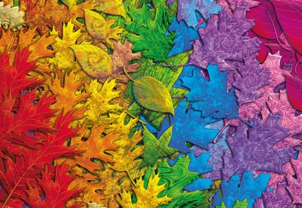 Colourful Leaves