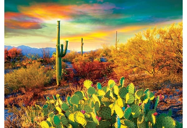 Desert Dreams