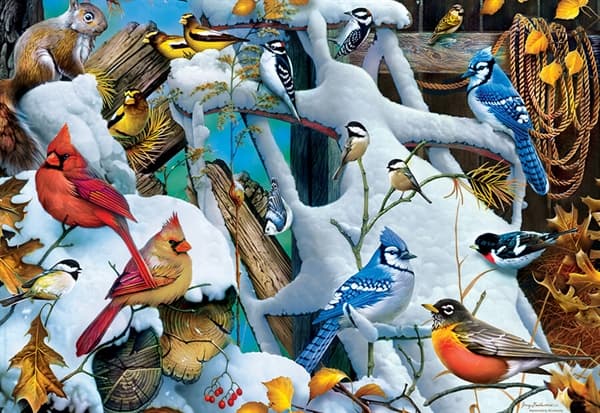 Snow Birds