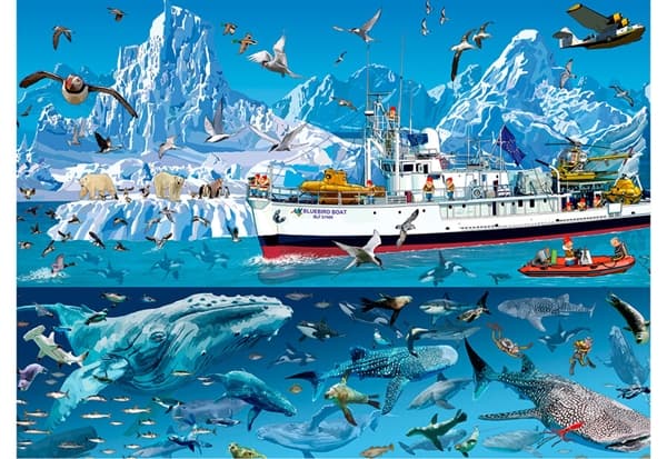Bluebird Boat