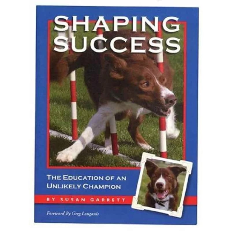 Shaping Success (4, 2016) | Susan Garrett